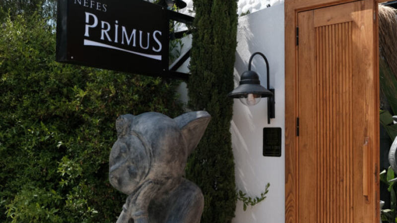 Metal Ahşap Mobilyalar